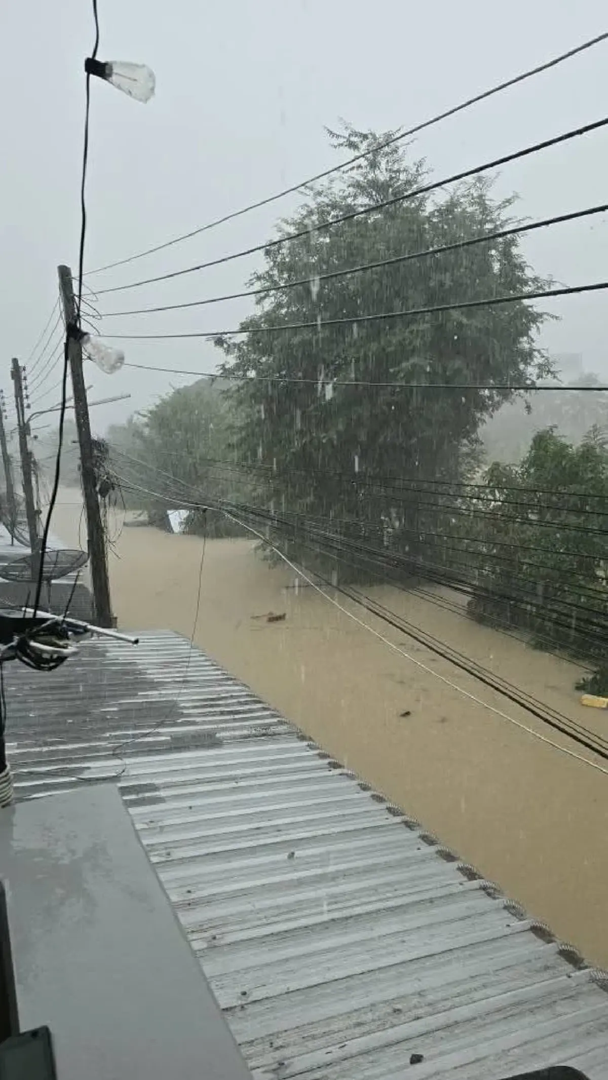 แห่ห่วง "แม่หมอไอซ์แมรี่เจน" โพสต์ขอความช่วยเหลือ ก่อนแบตจะหมด