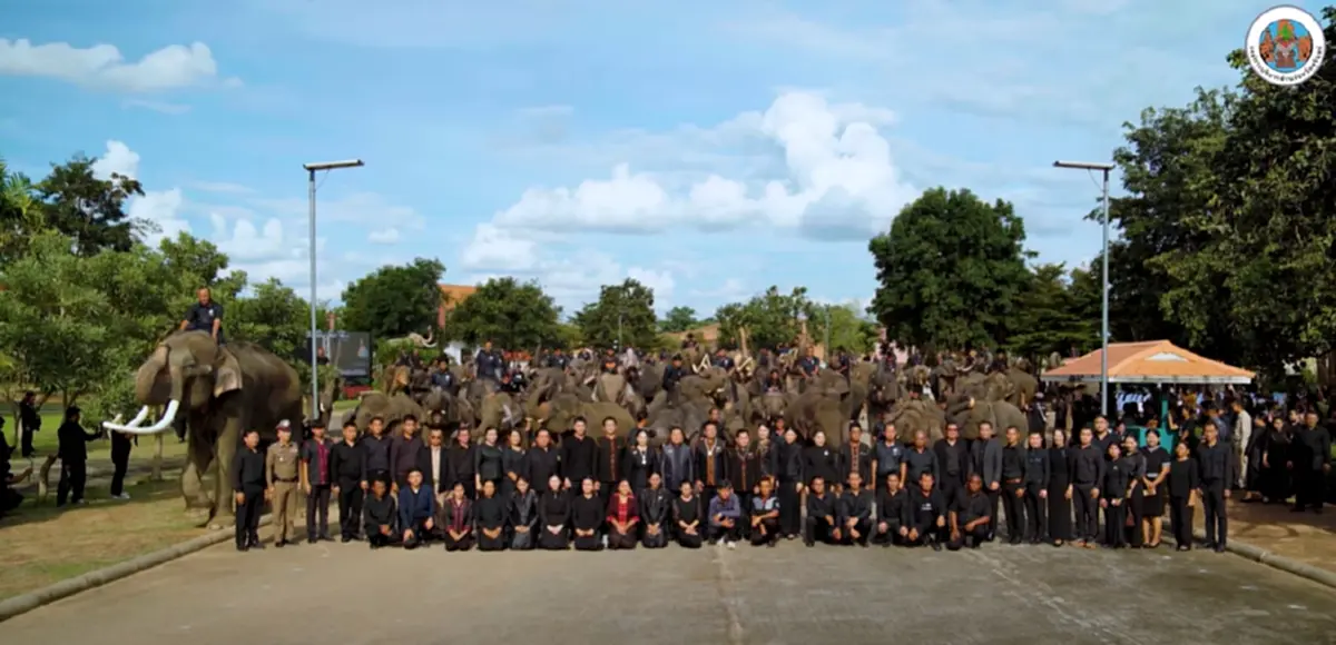 มหัศจรรย์ช้างสุรินทร์ กว่า 300 เชือก ร่วมถวายอาลัยแม่ของแผ่นดิน