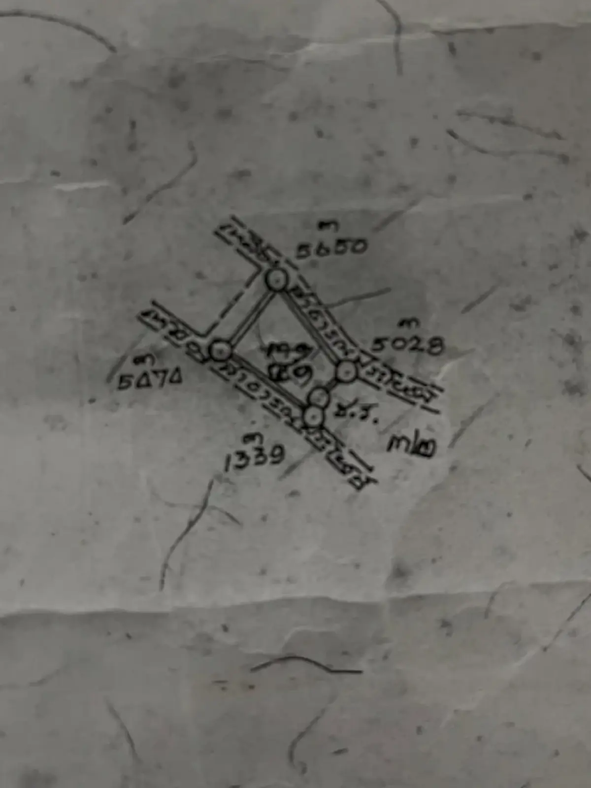 บอกเหตุผลชัด ซาร่า ประกาศขายที่ดิน พร้อมสวนลำไย จ.เชียงใหม่