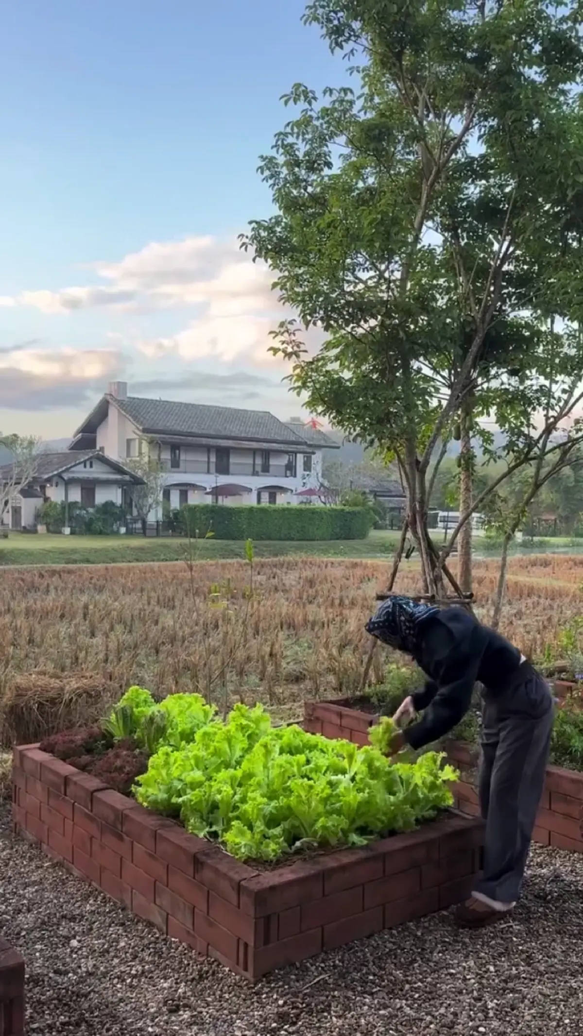 กลับบ้านนาแล้วใจฟู “แอน ทองประสม” เผยชีวิตเรียบง่ายกลางธรรมชาติ