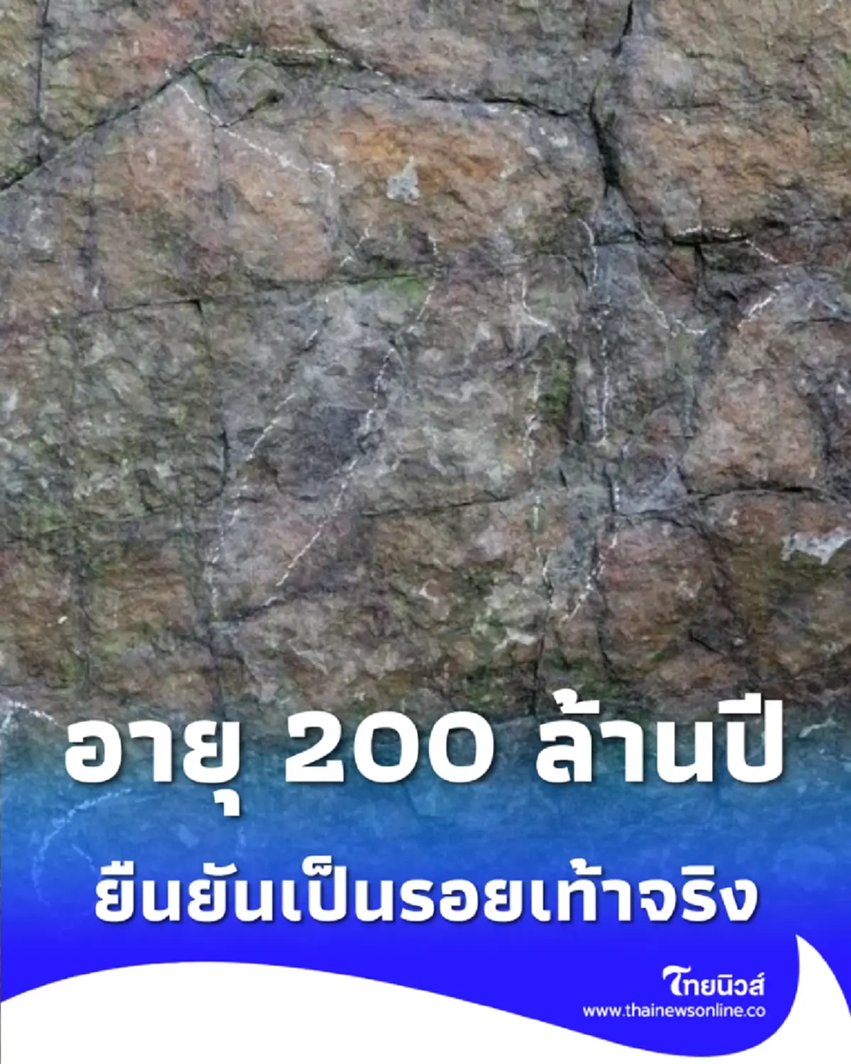 ฮือฮา จีนพบ รอยเท้าไดโนเสาร์ อายุเก่าแก่กว่า 200 ล้านปี