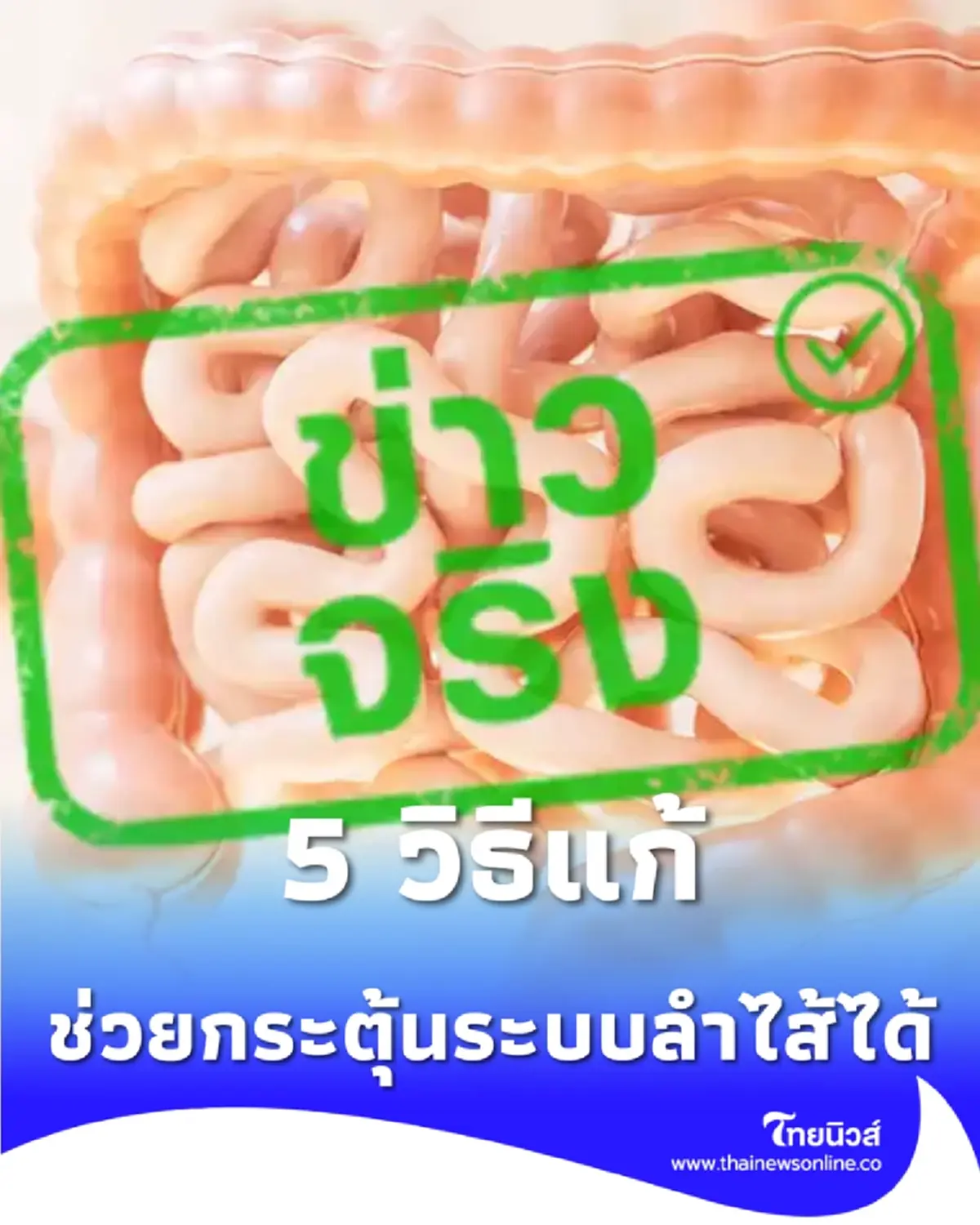 ลำไส้ขี้เกียจแก้ไขได้ด้วยวิธีธรรมชาติ ช่วยกระตุ้นการทำงานของระบบลำไส้ได้