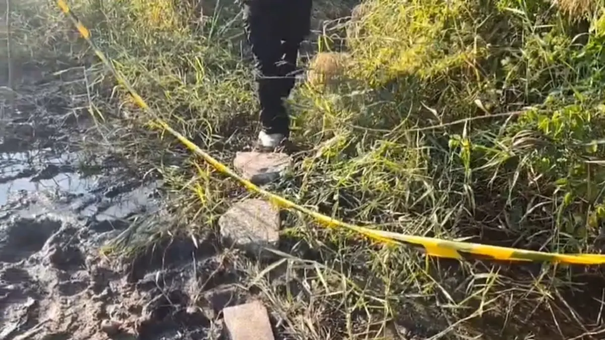 พบร่างปริศนา ไร้หัว ถูกทิ้งในป่ารกย่านคู้บอน เร่งสืบไขคดี