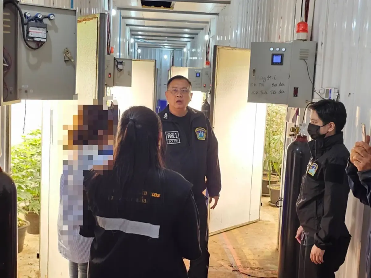 บุกทลายโกดังลับกลางกรุง จับ 3 เวียดนาม ปลูกกัญชาเถื่อน1,600 ต้น