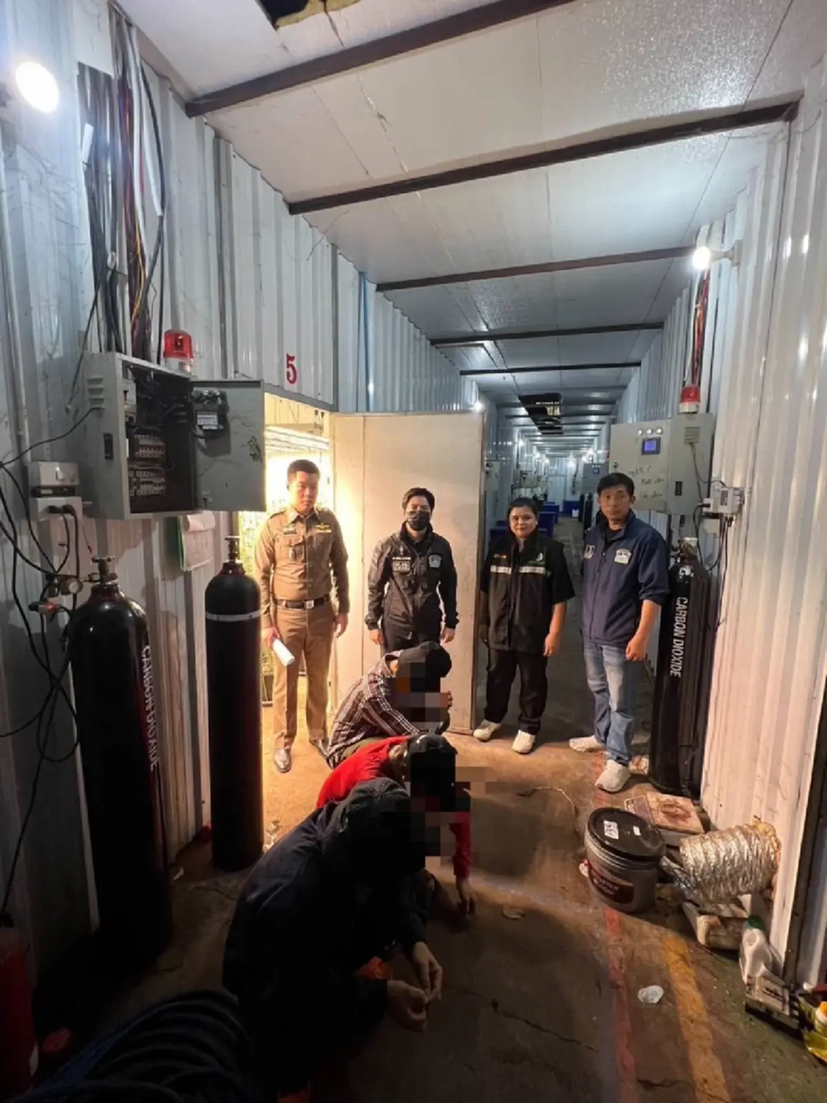 บุกทลายโกดังลับกลางกรุง จับ 3 เวียดนาม ปลูกกัญชาเถื่อน1,600 ต้น