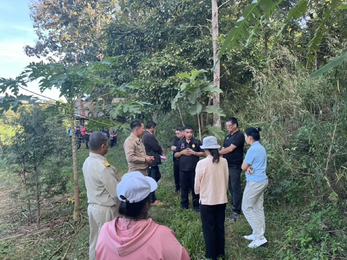 รู้แล้ว ตายายลำปาง ตัดต้นไม้อะไร ถึงถูกผู้นำหมู่บ้านแจ้งจับ ปรับหลักแสน