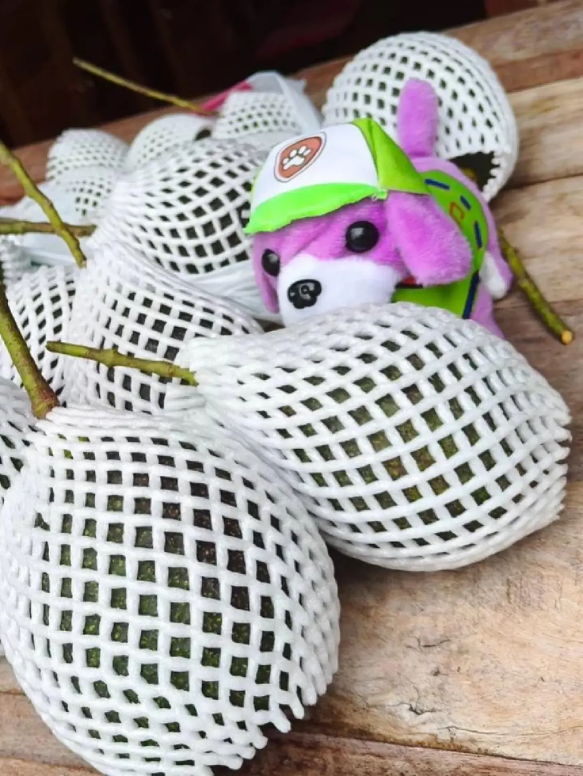 “เวียร์ ศุกลวัฒน์” อวดผลผลิตบ้านสวน ปลูกผักผลไม้ลูกดก น่าทานสุดๆ