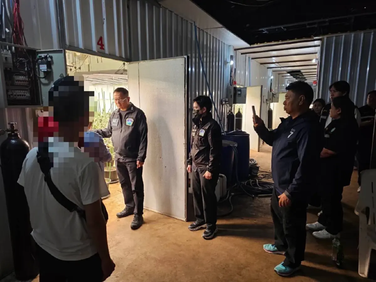 บุกทลายโกดังลับกลางกรุง จับ 3 เวียดนาม ปลูกกัญชาเถื่อน1,600 ต้น