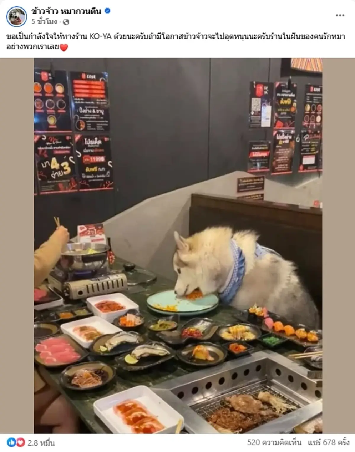 ร้านดังโพสต์แล้ว ดราม่าหมานั่งกินบุฟเฟต์ งานนี้คนดังมาเพียบ