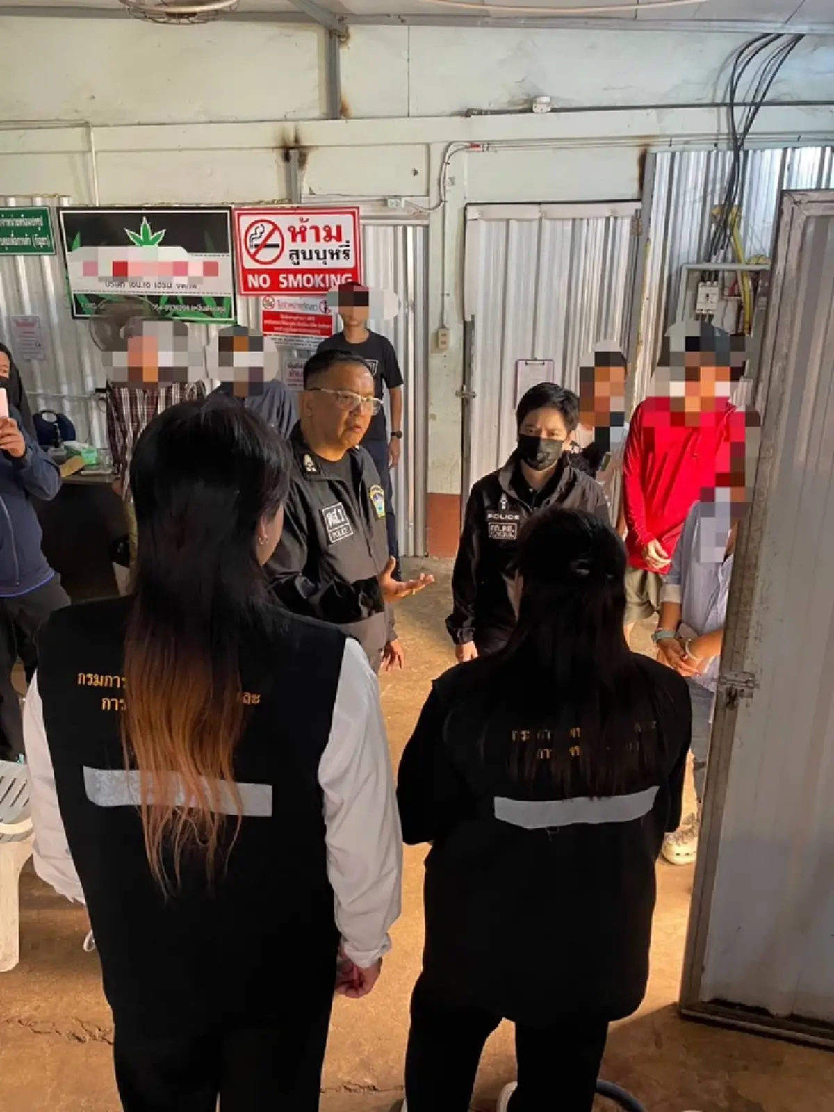 บุกทลายโกดังลับกลางกรุง จับ 3 เวียดนาม ปลูกกัญชาเถื่อน1,600 ต้น