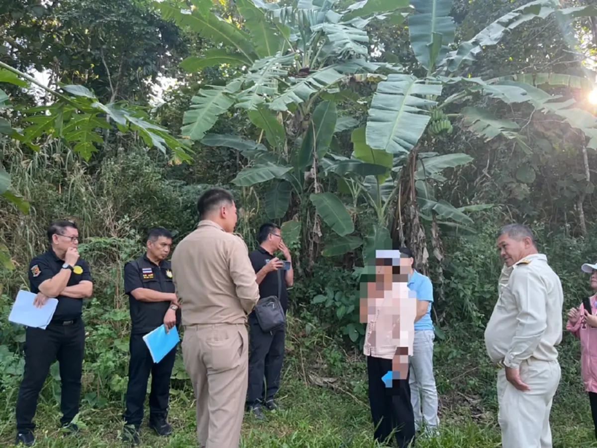 รู้แล้ว ตายายลำปาง ตัดต้นไม้อะไร ถึงถูกผู้นำหมู่บ้านแจ้งจับ ปรับหลักแสน