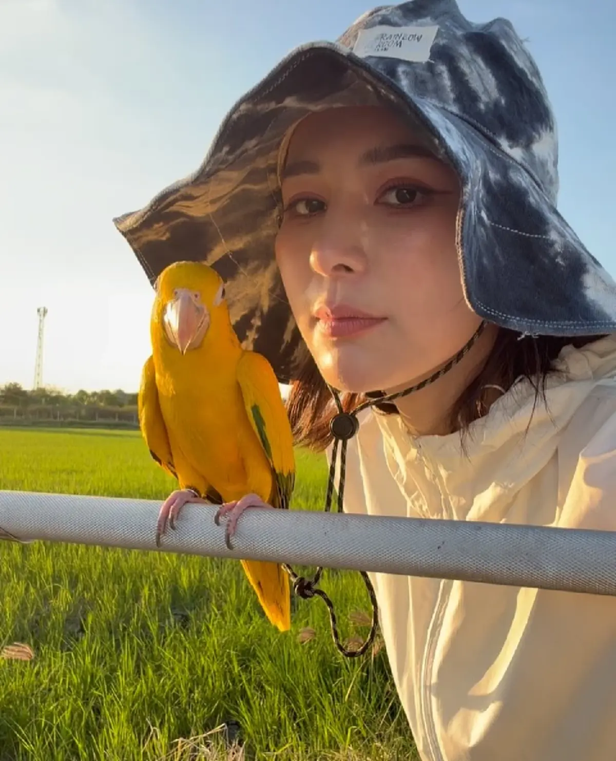 “จันจิ” ฝึกลูกรักบินอิสระ หลังเคยช็อก น้องนกบินหนีออกจากบ้าน