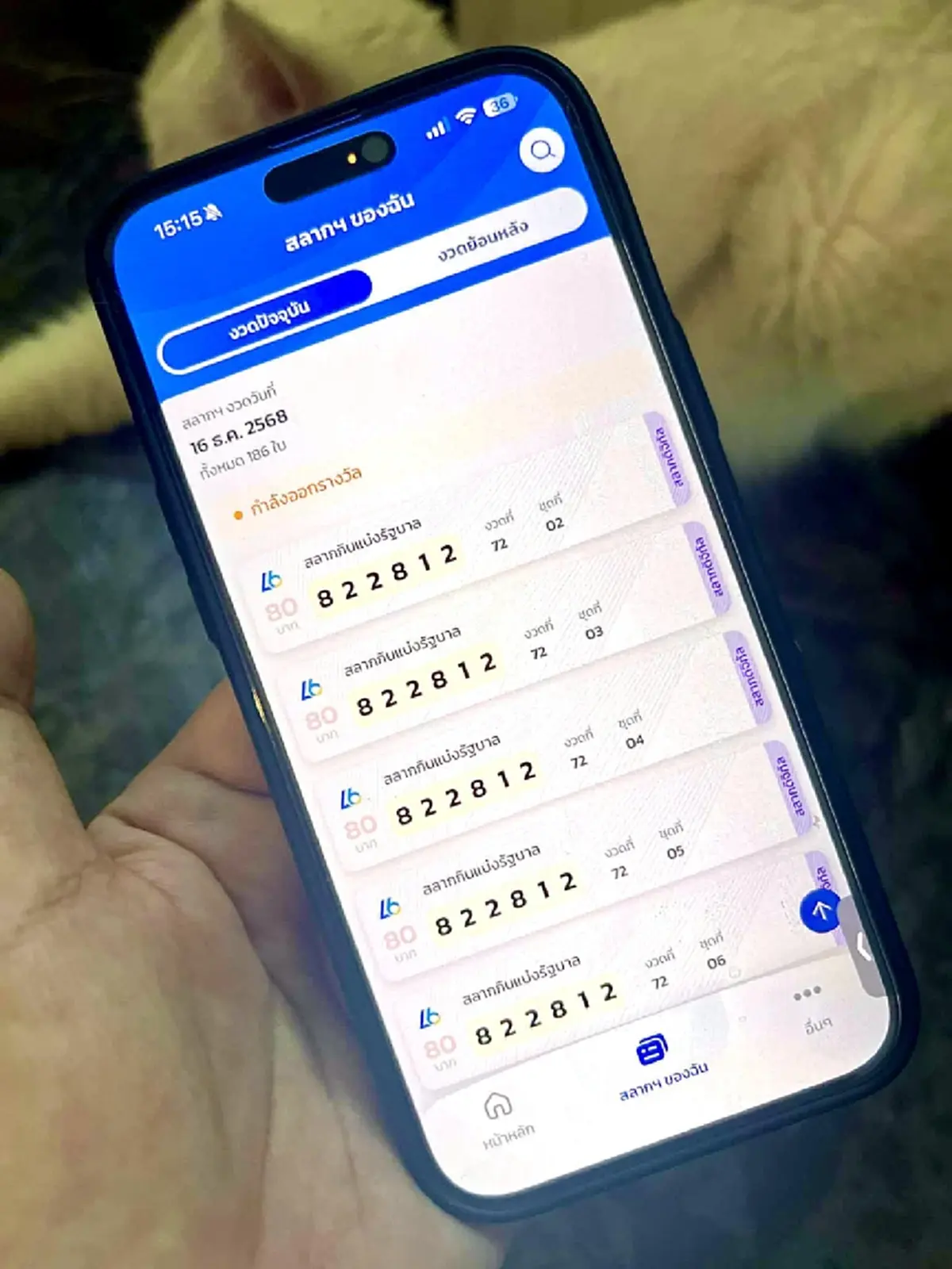 กับข้าวกับปลาโอ ประสบอุบัติเหตุ แฟนคลับห่วง (ป้ายทะเบียนรถ)