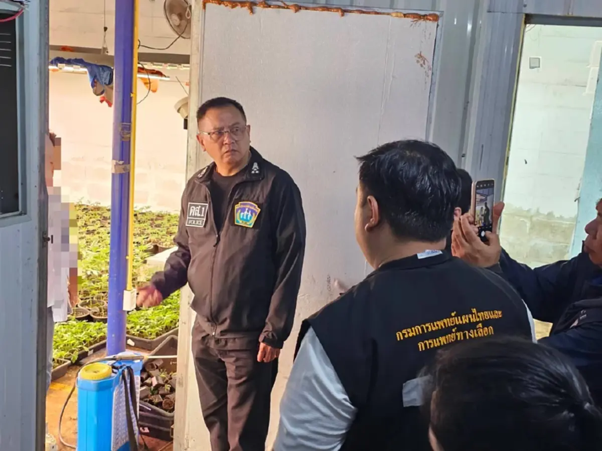 บุกทลายโกดังลับกลางกรุง จับ 3 เวียดนาม ปลูกกัญชาเถื่อน1,600 ต้น