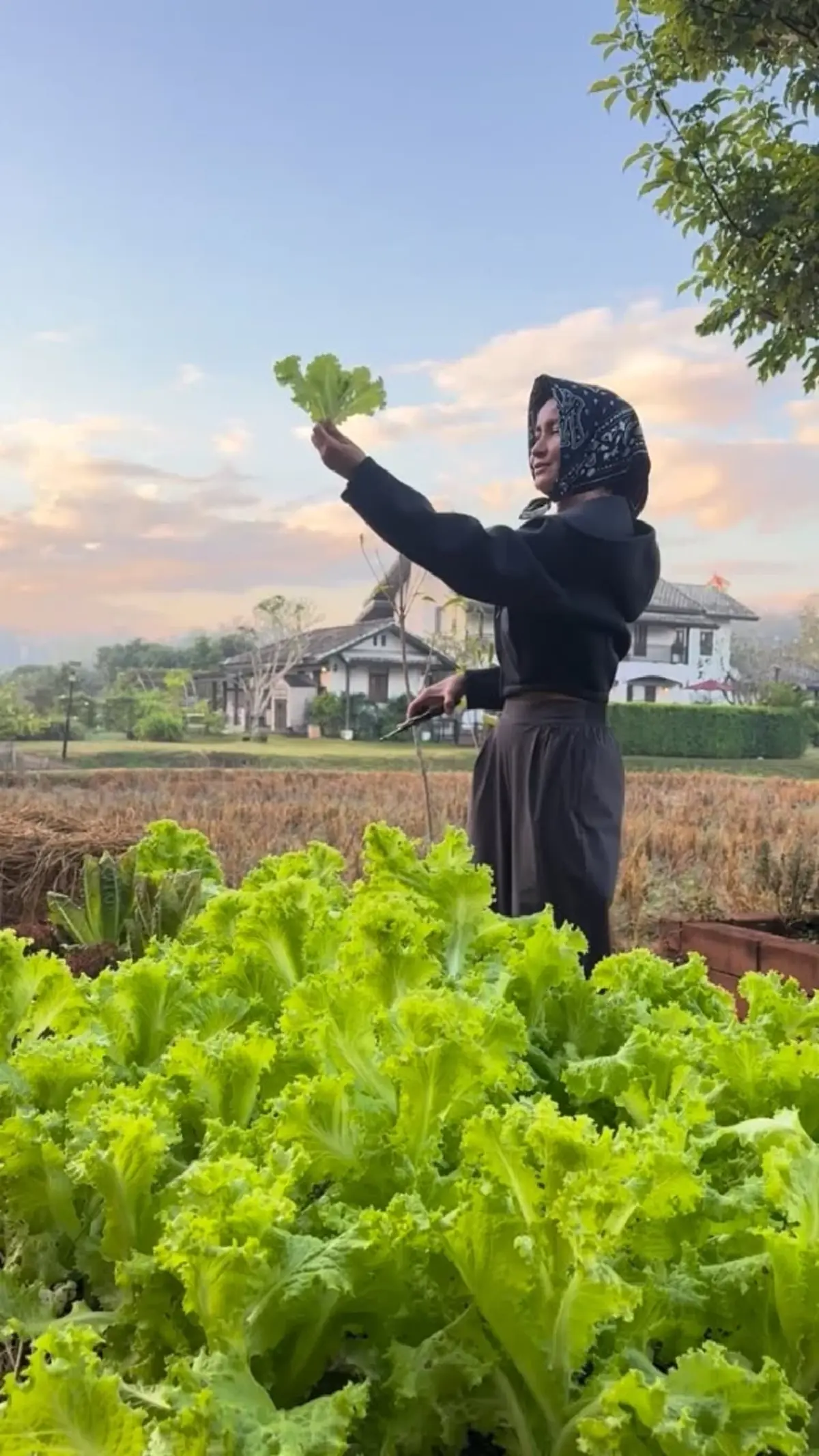 กลับบ้านนาแล้วใจฟู “แอน ทองประสม” เผยชีวิตเรียบง่ายกลางธรรมชาติ