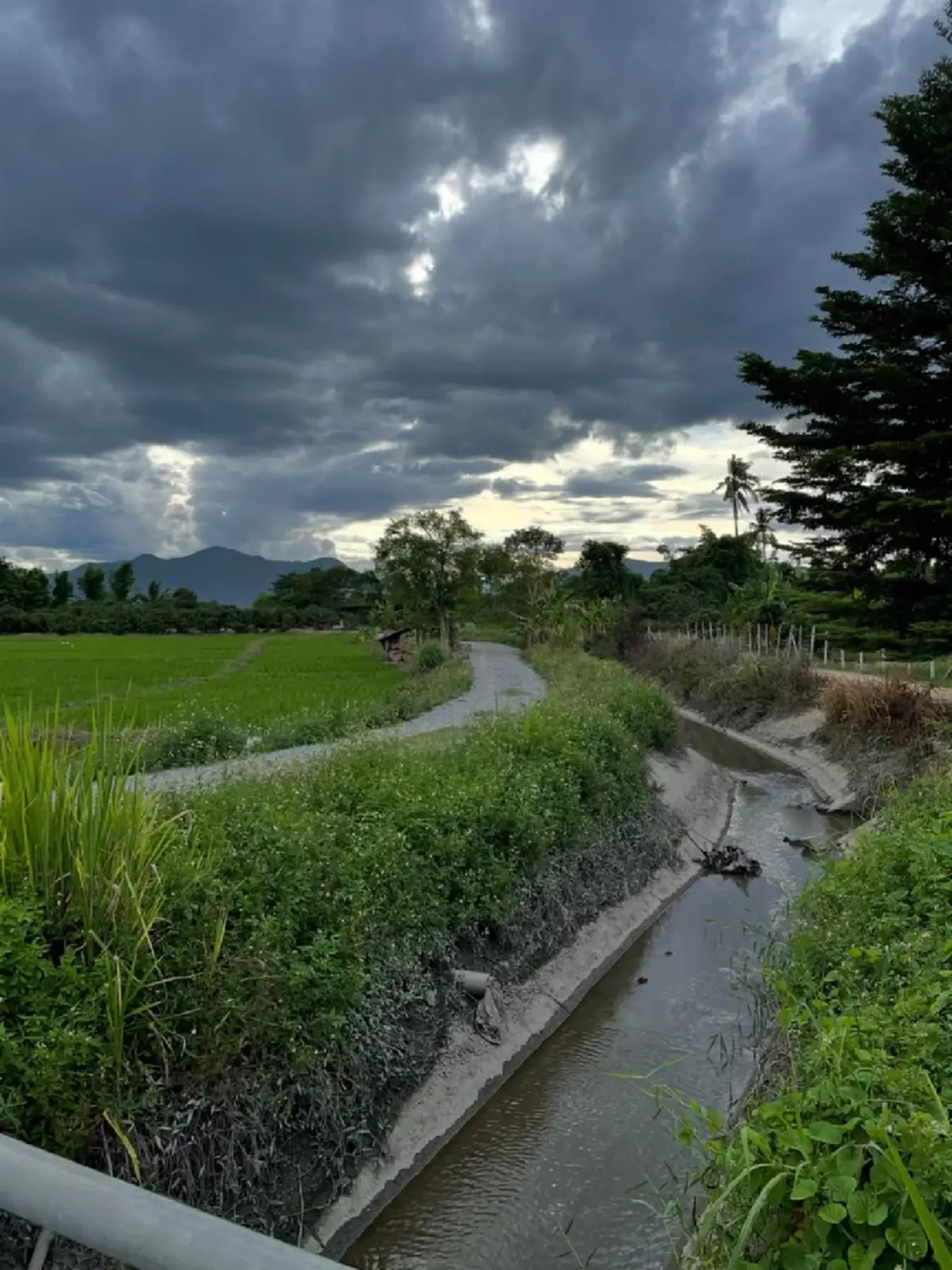 บอกเหตุผลชัด ซาร่า ประกาศขายที่ดิน พร้อมสวนลำไย จ.เชียงใหม่