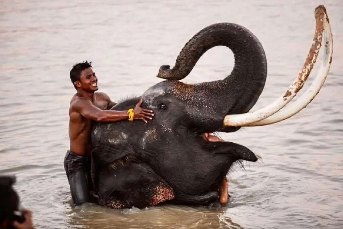 "บัวขาว" เดือด โดนเขมรปั่นข่าว ใส่ร้ายเป็นไส้ศึกบอกพิกัดทหารไทย