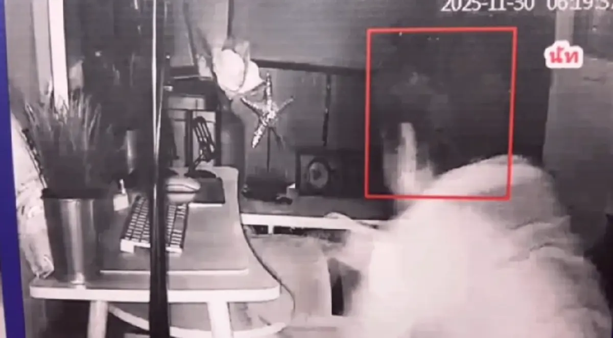 เปิดพินัยกรรม "นัทปง" รู้แล้วเขียนไว้ให้ใคร ก่อนจากไป