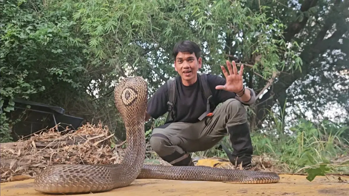 "นิค อสรพิษวิทยา" โดน"งูจงอาง"กัด หามส่งโรงพยาบาลด่วน