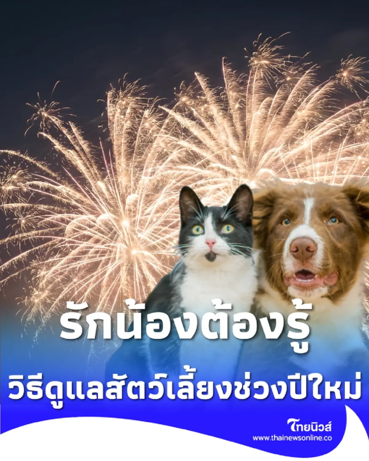 ปีใหม่นี้ห้ามจุดพลุส่งเด็ดขาด ฝ่าฝืนระวังคุก 3 ปี ปรับ 6 หมื่น