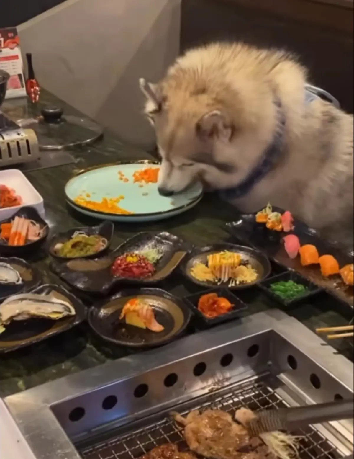 "ตั๊ก ศิริพร" ฟาดดราม่าน้องหมานั่งกินร่วมโต๊ะ งานนี้ได้ใจเต็ม ๆ