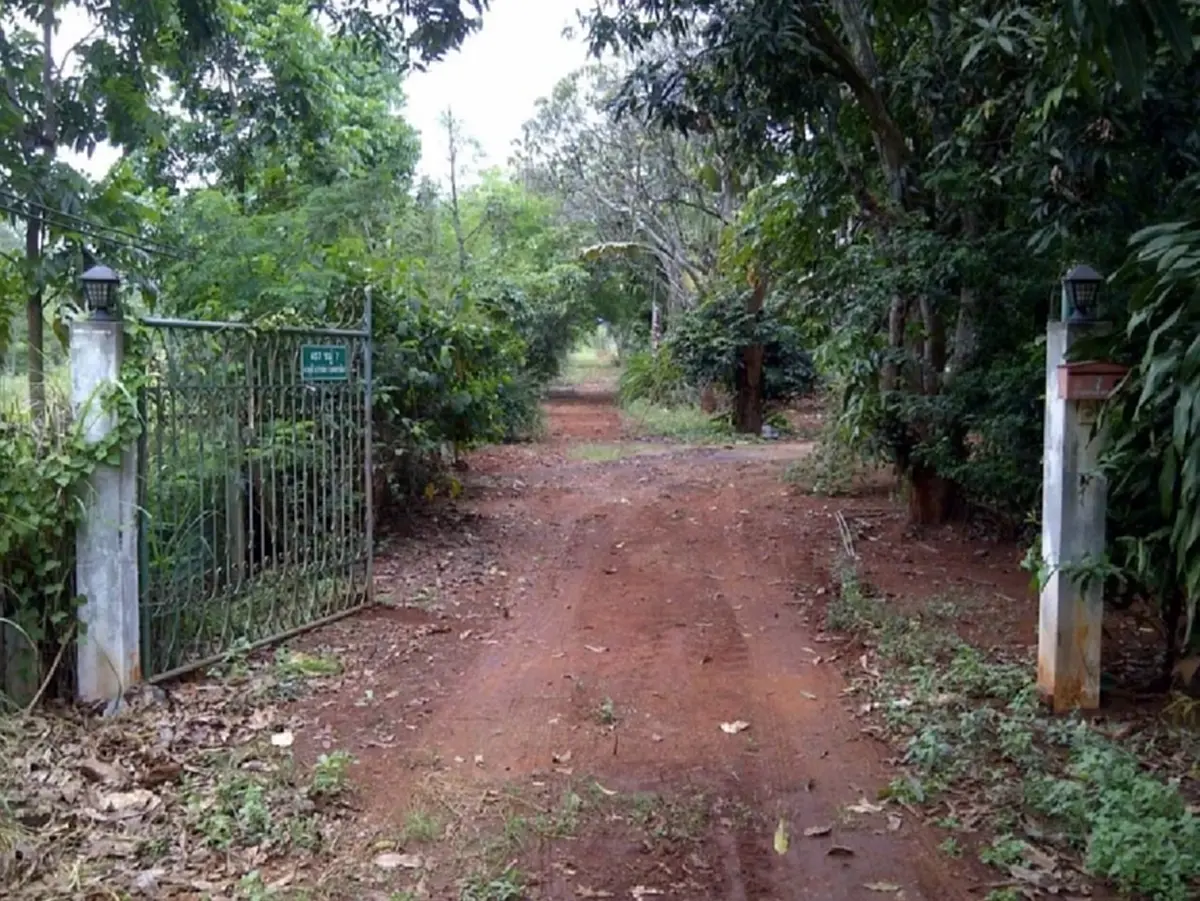 หญิง รฐา ประกาศขายที่ดิน 8 ไร่ ที่ปากช่อง ทำเลดี บอกราคาชัด