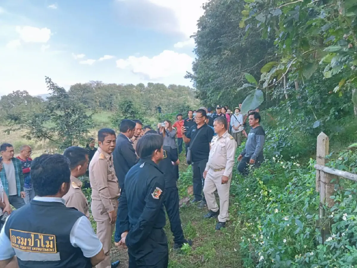 รู้แล้ว ตายายลำปาง ตัดต้นไม้อะไร ถึงถูกผู้นำหมู่บ้านแจ้งจับ ปรับหลักแสน