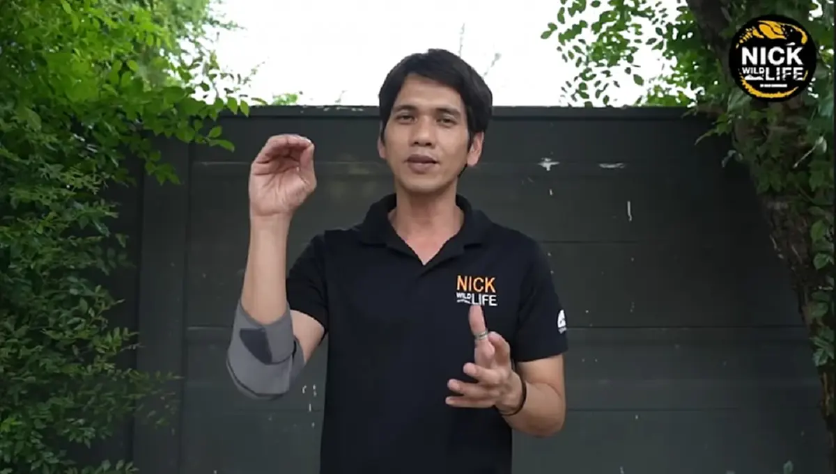 เปิดนาทีชีวิต"นิค อสรพิษวิทยา"เจอพิษจงอาง ไม่คิดว่ามันจะกัดได้