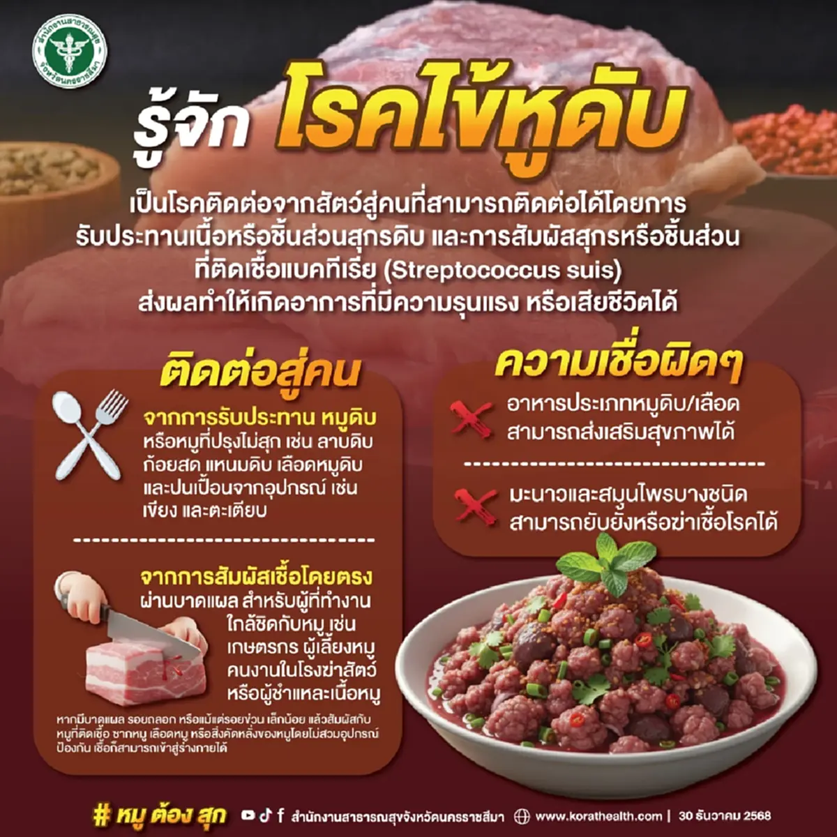 โคราชดับแล้ว 13 ฉลองปีใหม่ระวังหมูกระทะ-หมูดิบ เสี่ยง ไข้หูดับ