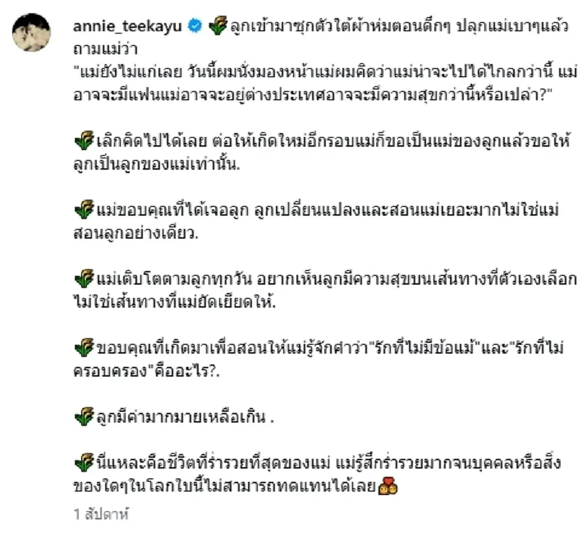 แอนนี่ บรู๊ค เผยบทสนทนาสุดกินใจ น้องฑีฆายุถามเรื่องแม่