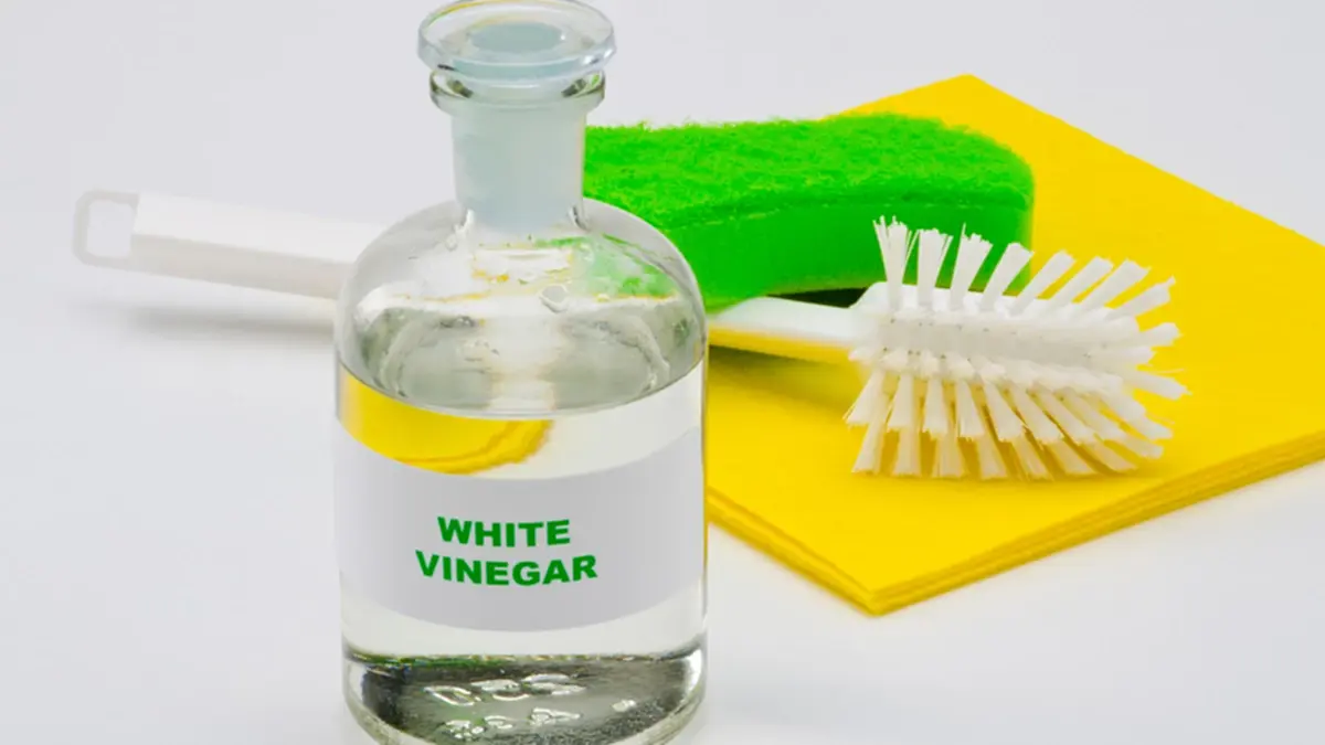 คราบดำหายวับ! เปิด 3 สูตรล้างเขียงไม้–พลาสติก ให้สะอาดไร้เชื้อ