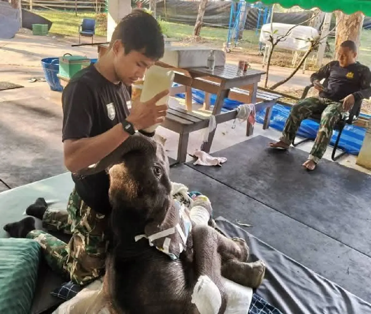 เปิดอาการล่าสุด "น้องข้าวต้ม" ดีขึ้นมาก ลุกนั่งได้เองแล้ว