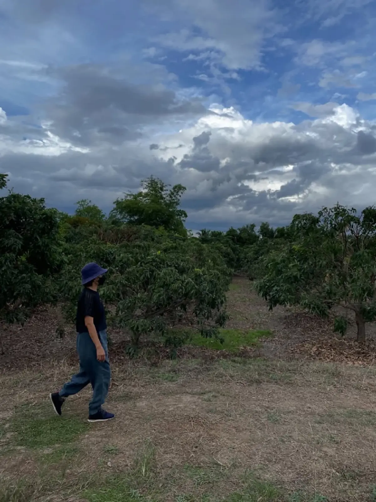 “ซาร่า โฮเลอร์” ประกาศขายที่ดินพร้อมสวนลำไย เชียงใหม่  