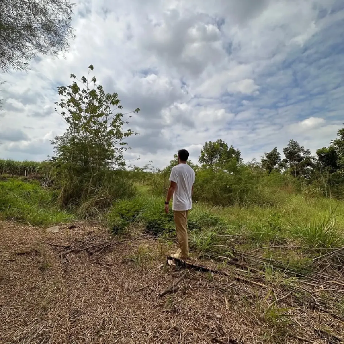 "หญิง รฐา" ประกาศขายที่ดิน 8 ไร่ ที่ปากช่อง ทำเลดี บอกราคาชัด