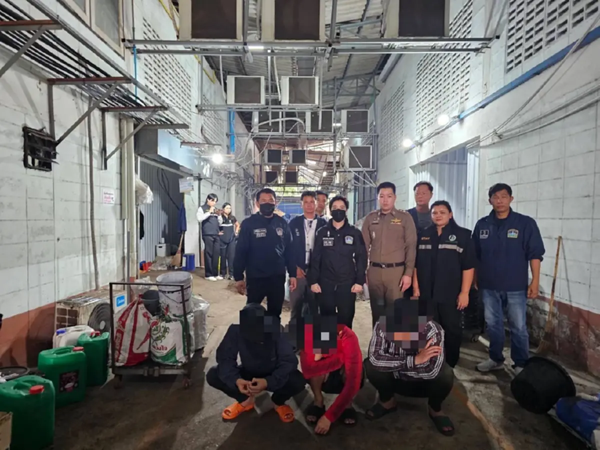 บุกทลายโกดังลับกลางกรุง จับ 3 เวียดนาม ปลูกกัญชาเถื่อน1,600 ต้น