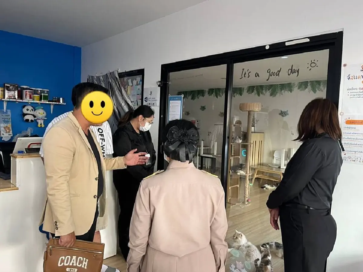 งานเข้าแล้ว คาเฟ่แมว ย่านบางเขน หลังโผล่คลิปทารุณสัตว์ว่อนเน็ต