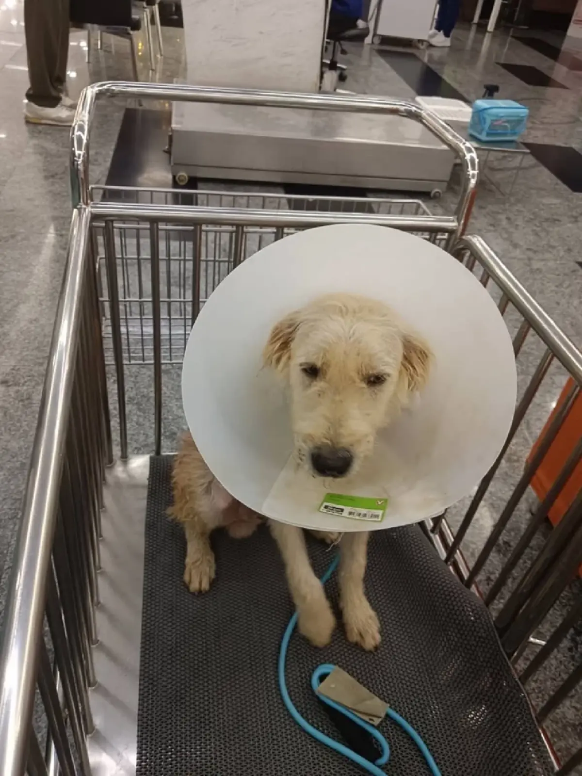 อาการล่าสุด น้องบังเกอร์ เข้ารับการผ่าตัด หลังโดนสะเก็ดระเบิด