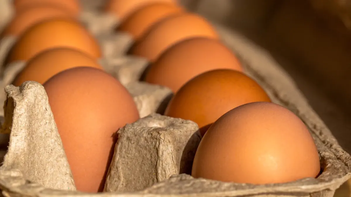 3 วิธีดูไข่สดแบบง่าย พร้อมทริกเก็บไข่ให้อยู่ได้นาน ดีต่อสุขภาพ