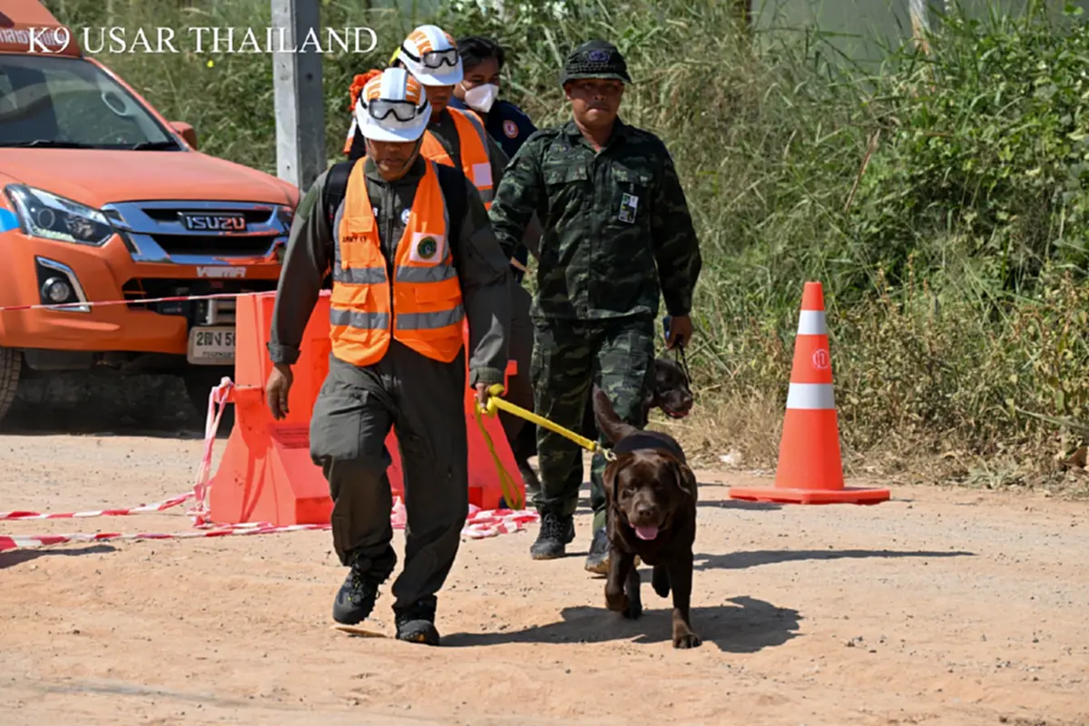 สรุปภารกิจ K9 USAR เหตุเครนถล่มทับรถไฟ สุนัขทรงเลี้ยง ร่วมด้วย
