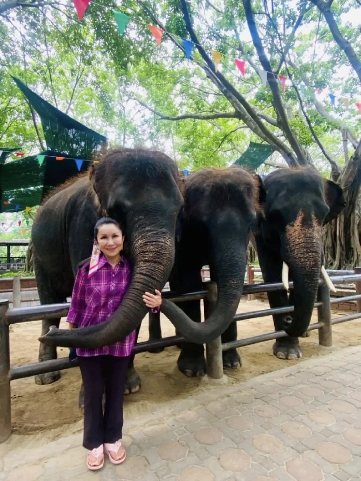 เดือด "หนูนา" โต้ข่าวช้างไทย 2 เชือก ใครป้ายสีเตรียมเจอของจริง