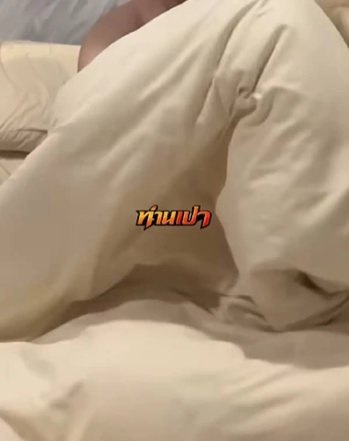 หลงรัก "ช้างเผือก" ไม่ทันข้ามปี หนุ่มน้ำตาซึม เกลี้ยง 1.2 ล้าน