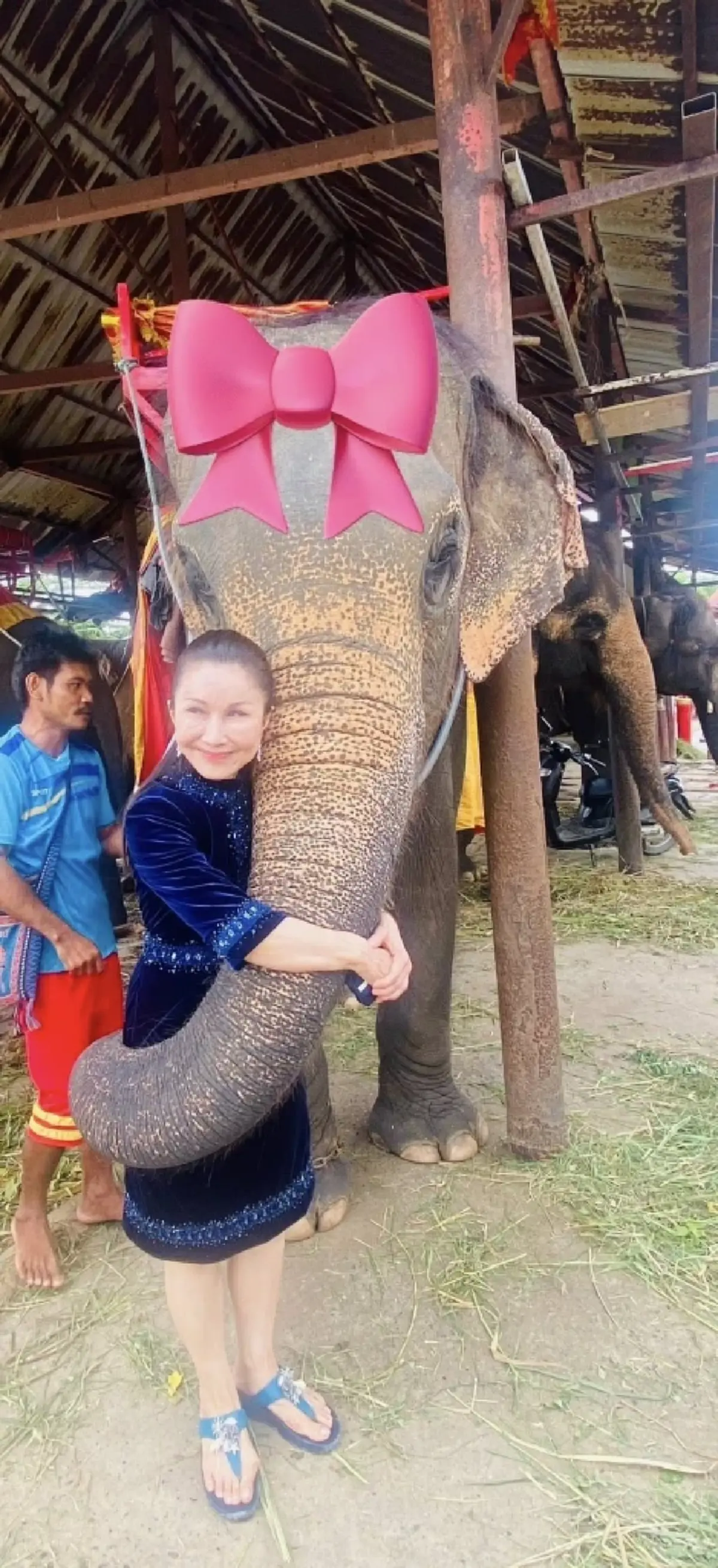 เดือด "หนูนา" โต้ข่าวช้างไทย 2 เชือก ใครป้ายสีเตรียมเจอของจริง