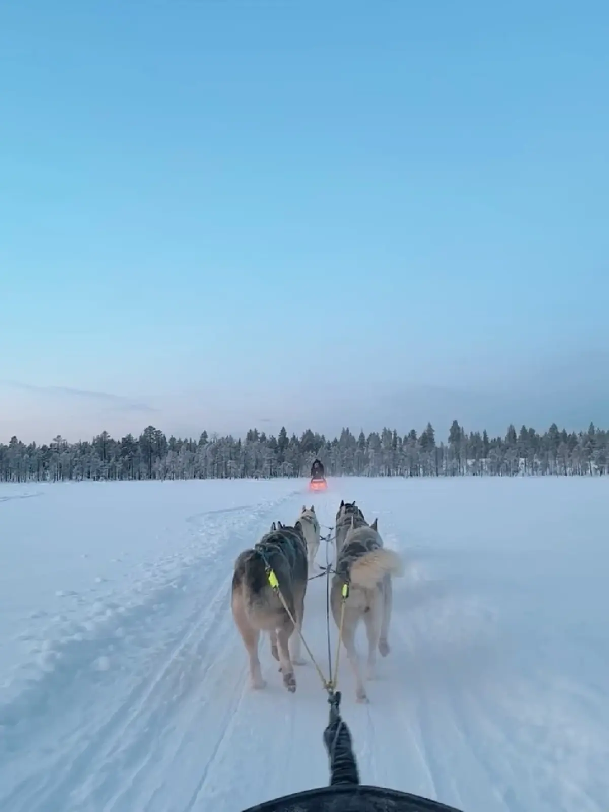 ดาราสาว ถูกแฟนหนุ่ม ทายาทนักการเมืองดัง เซอร์ไพรส์ขอแต่งงาน