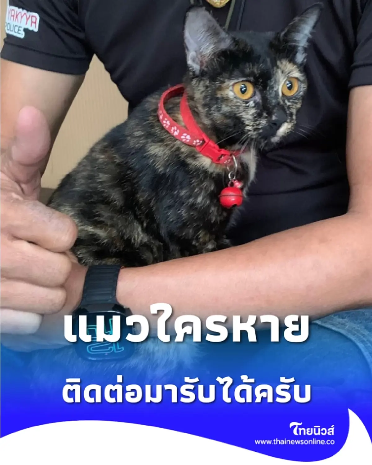 แมวใครหาย ติดต่อมารับน้องได้เลย ที่ตำรวจทางหลวงอยุธยา