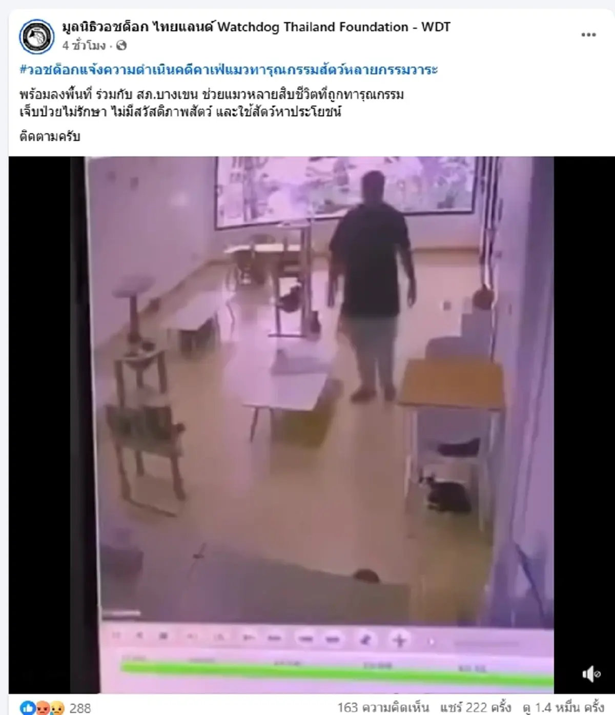 เจ้าของร้านแจงแล้ว ปมคาเฟ่แมวฉาว แฉทารุณสัตว์-ป่วยไม่รักษา