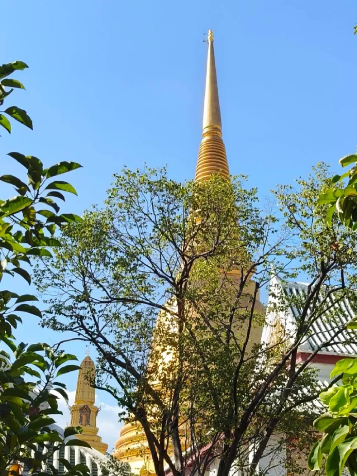 “เวียร์ ศุกลวัฒน์” ควง “วิกกี้-น้องวิริน” เข้าเมืองทำบุญ