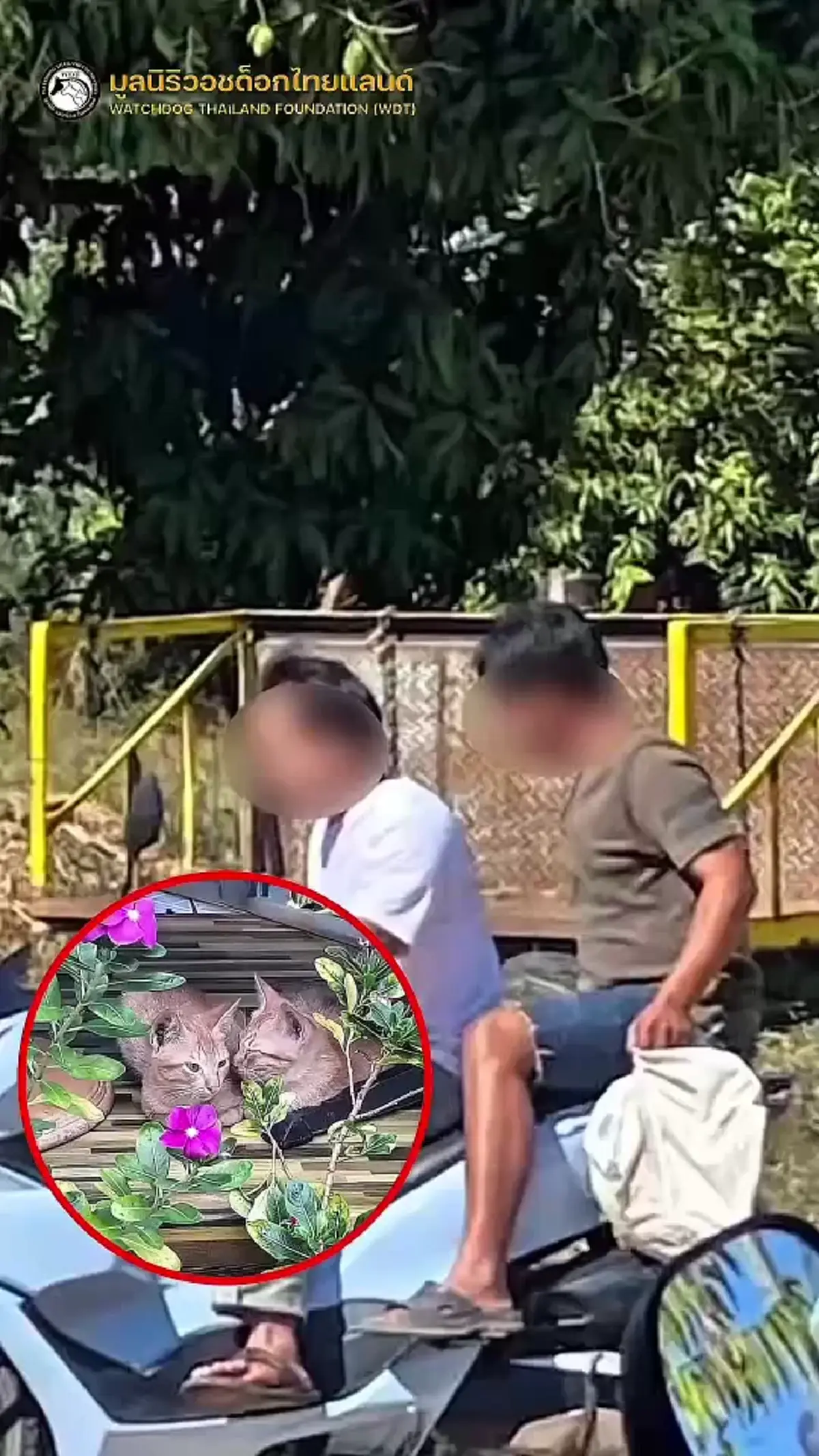 สังคมตั้งคำถาม อ้างลูกรักแมว รีบให้รับไป สุดท้ายพบแมวเสียชีวิต