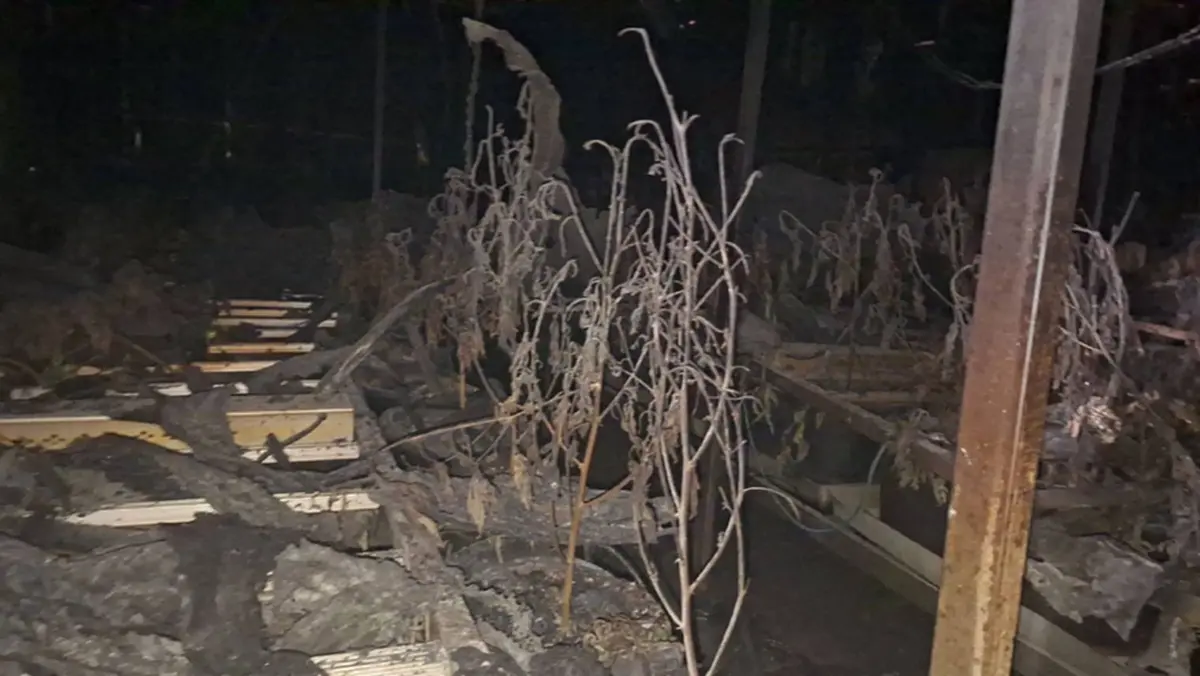 ระทึก ไฟไหม้โกดังปลูกกัญชา-พลาสติก เร่งสอบสวนหาสาเหตุ