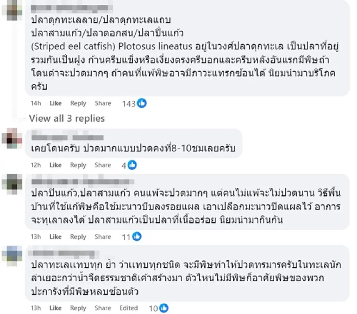 รู้แล้ว ปลาอะไร ทำชายหนุ่มถึงขั้นนอนหมดสติบน หาดจอมเทียน พัทยา