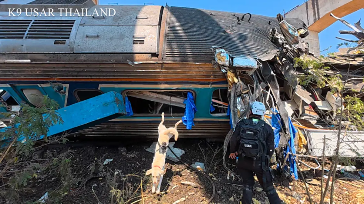 สรุปภารกิจ K9 USAR เหตุเครนถล่มทับรถไฟ สุนัขทรงเลี้ยง ร่วมด้วย